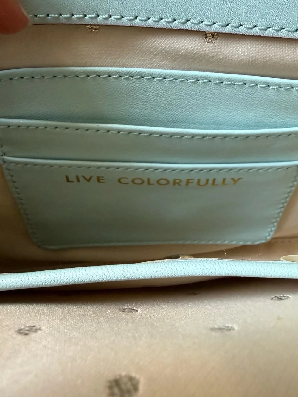 Rare Unique Kate Spade Luna duck egg blue leather shoulder bag